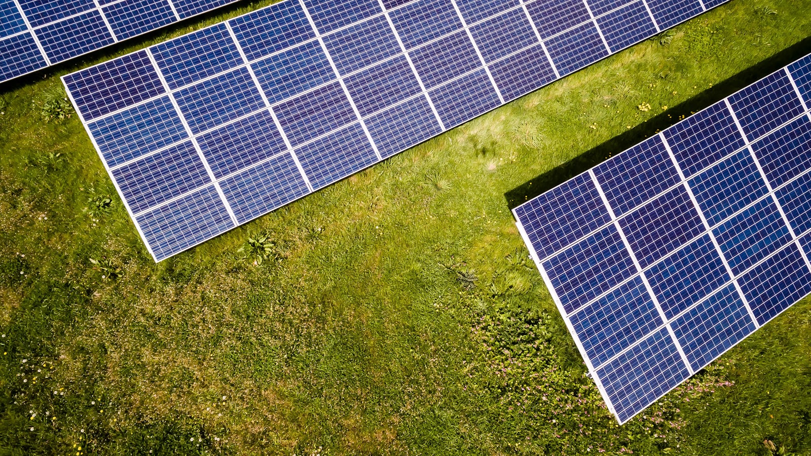 Ground mounted solar farm at sunrise on open land
