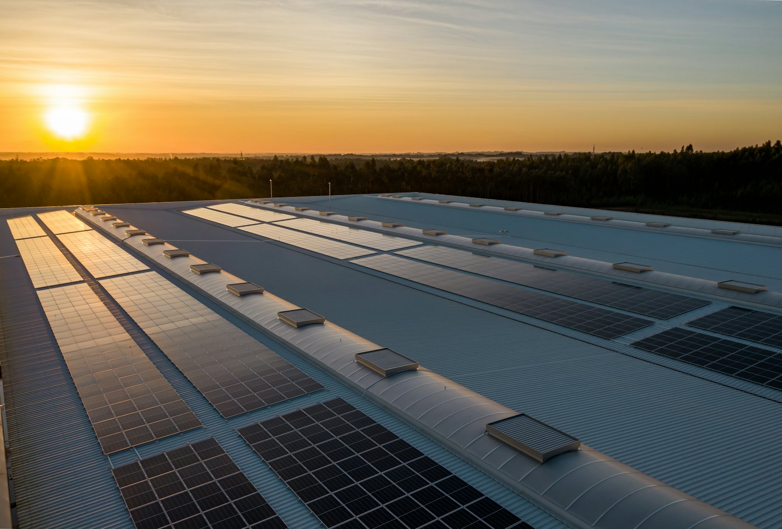Commercial solar power plant at sunset
