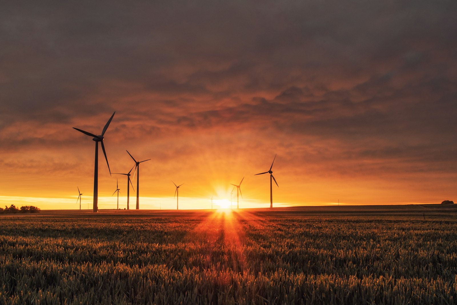 Wind turbines and renewable energy landscape